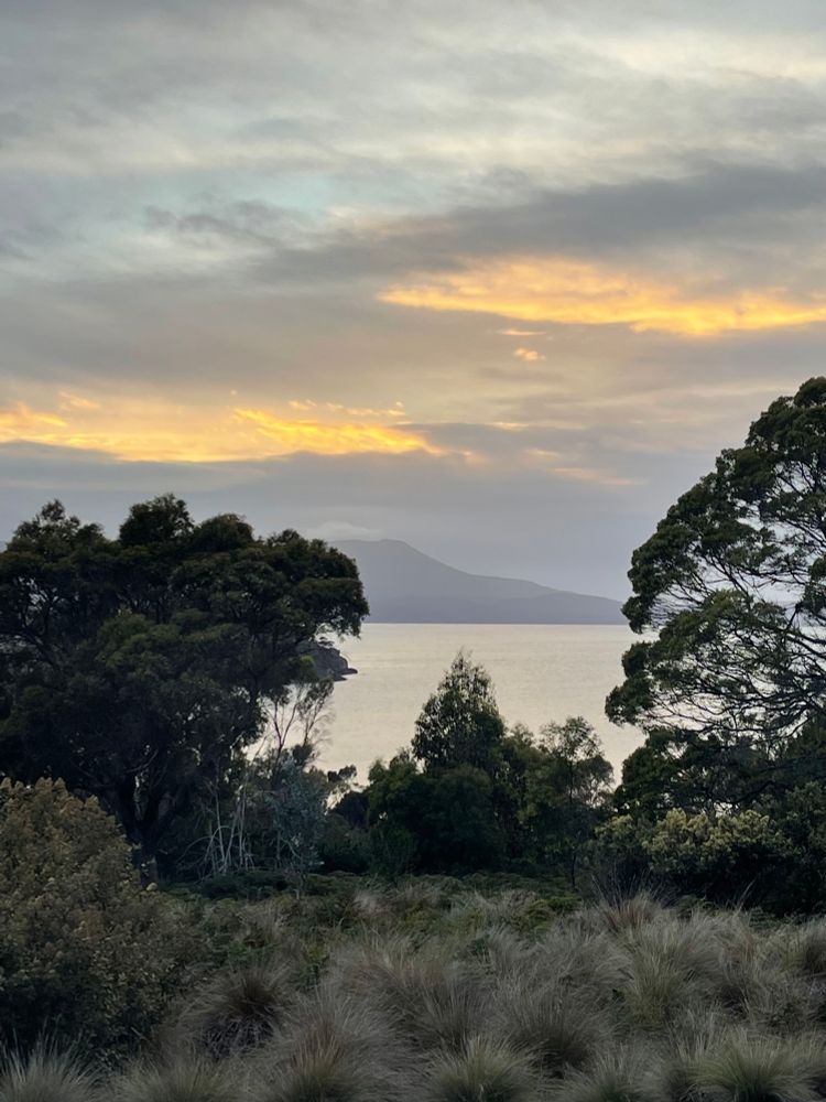 A dawn view over bushland to a cove, with hills in the background. Soft muted colours of greens, greys, pinks and yellows 
