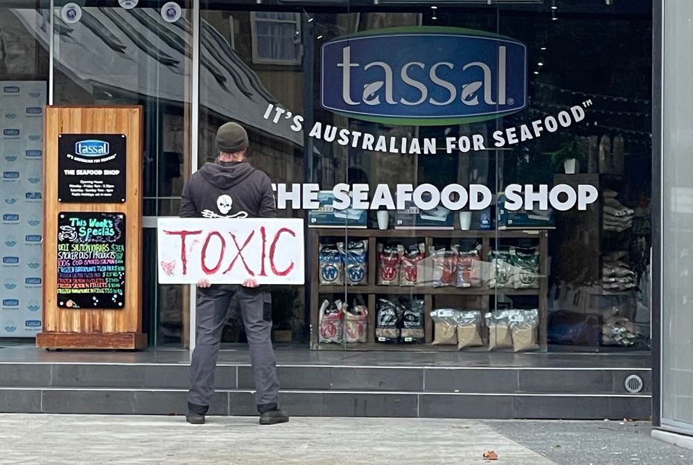 A lone protester stands firmly outside a shop selling farmed salmon. He is looking into the shop. He holds a sign outwards that painted in blood red that says “toxic” . The protestor wears a black hoodie and beanie. The sign  obscures what appears to be a skull and cross bone 