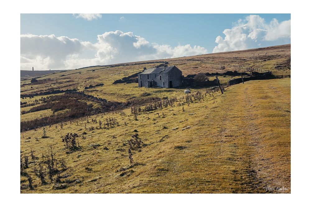 the same house but from a distance, on a summery looking day with blue skies and green frass. Sheep can be seen grazing in the background