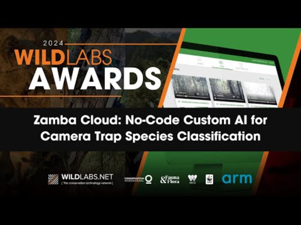 Zamba Cloud: No-Code Custom AI for Camera Trap Species Classification