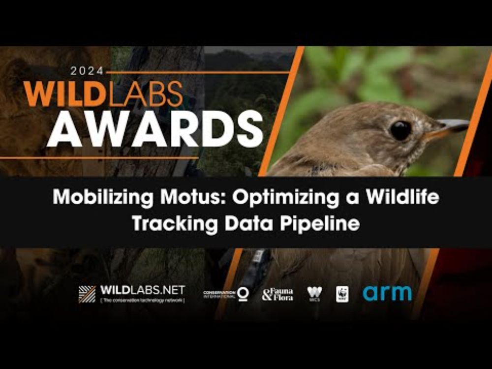Mobilizing Motus: Optimizing a Wildlife Tracking Data Pipeline