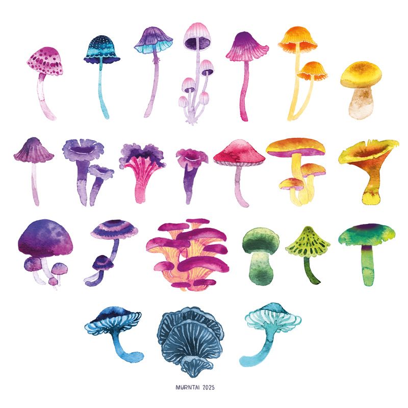Colorful painted mushrooms