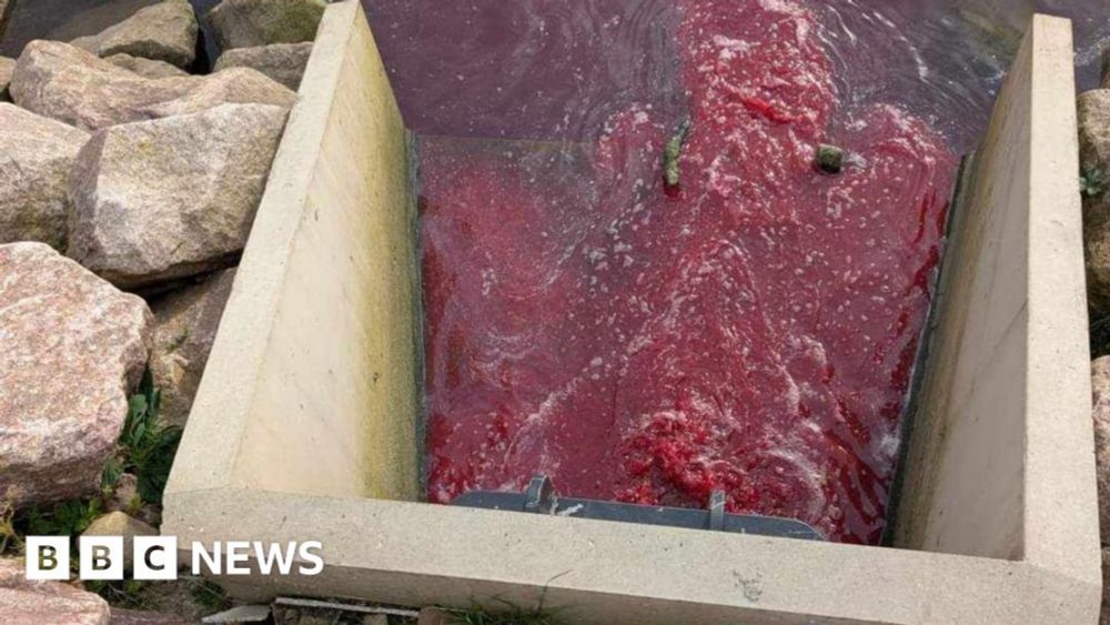 Probe over Fort William river 'polluted with dead fish and blood'