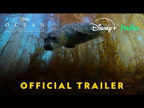 Ocean with David Attenborough | Official Trailer | National Geographic