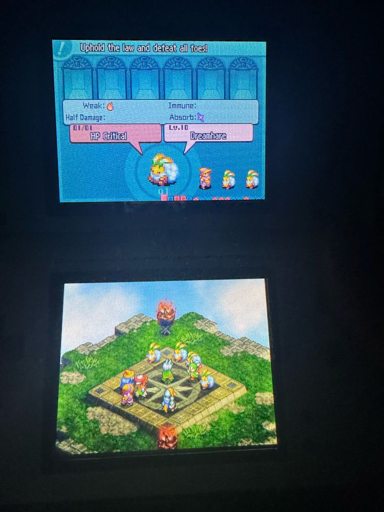 My Green Mage got a crit this time