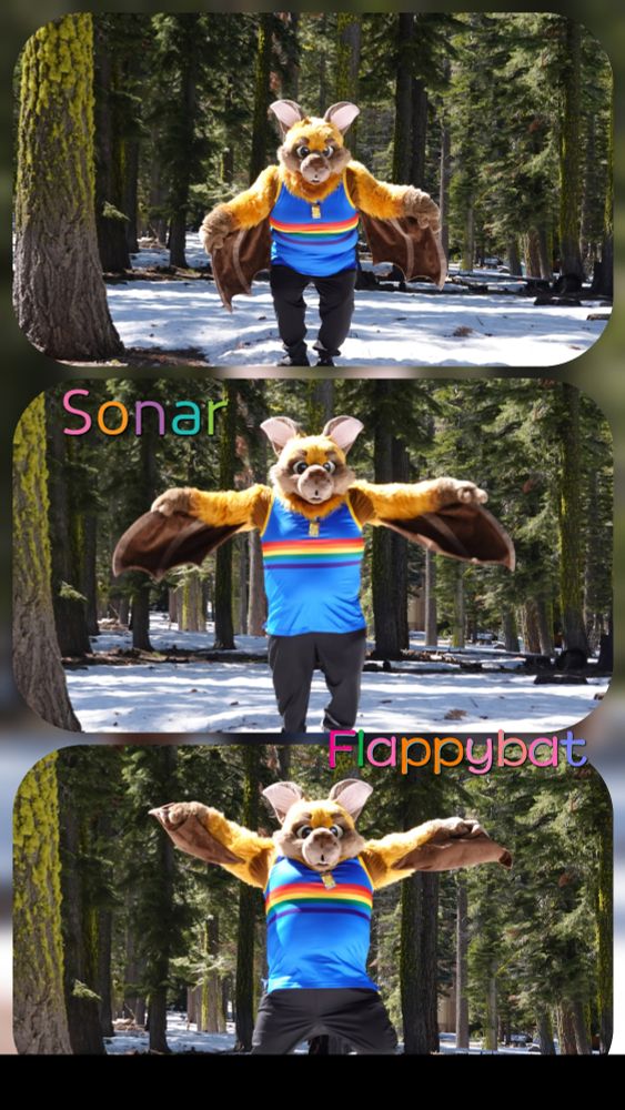 Sonar Flappybat taking flight