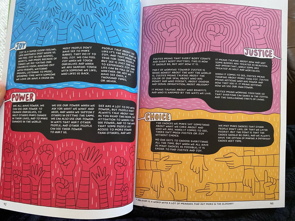 Page of the book describing 4 principles of sex: joy, power, justice, and choice.