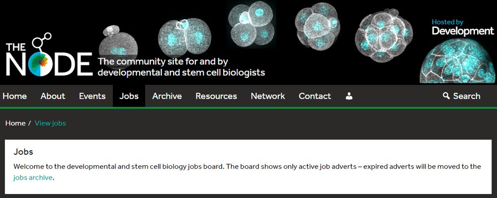 A screenshot of the Node's Jobs Board. Top half of the image shows the Node logo and text: the community site for and by developmental and stem cell biologists". Bottom half text reads "Welcome to the developmental and stem cell biology jobs board. The board shows only active job adverts – expired adverts will be moved to the jobs archive."