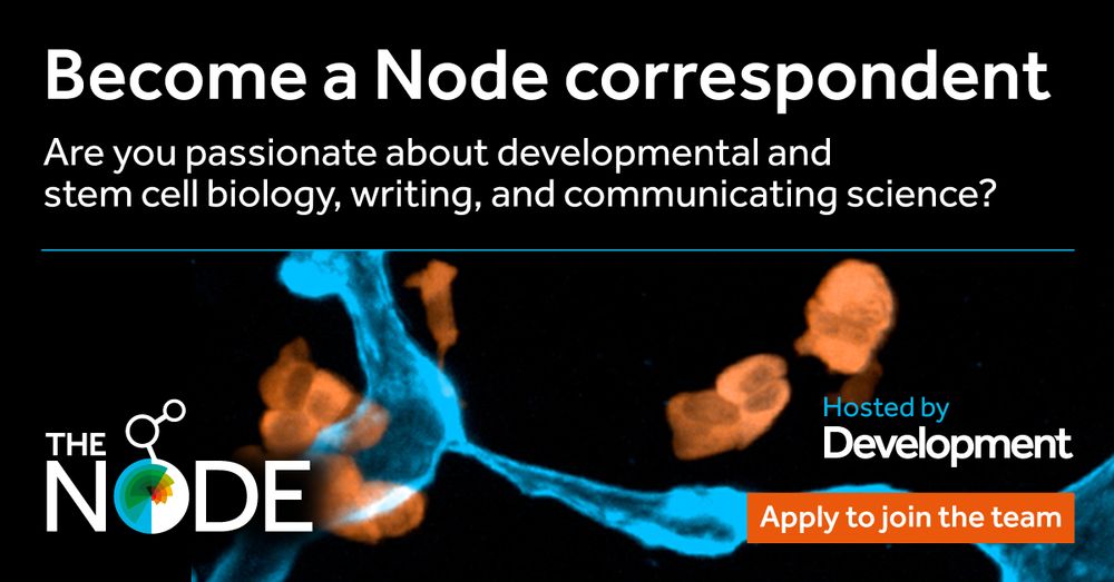 Become a Node correspondent! Are you passionate about developmental and stem cell biology, writing, and communicating science? Apply to join the team.