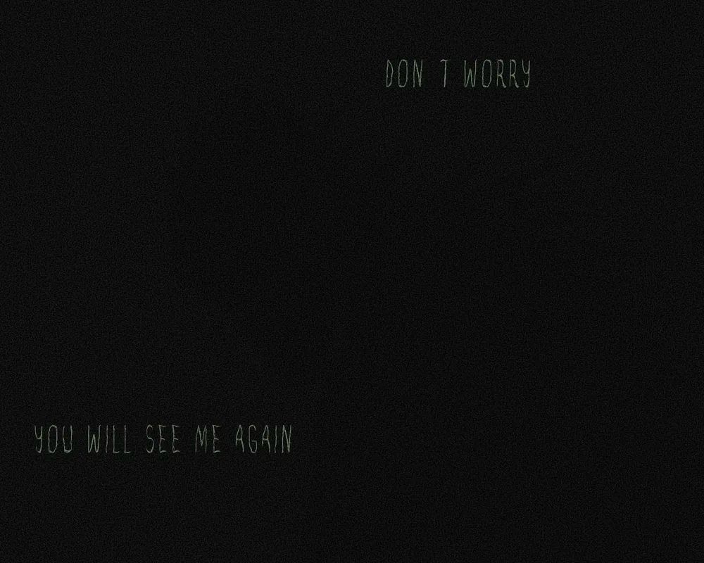 A shadow begins to take shape.

"Don't worry. You will see me again."