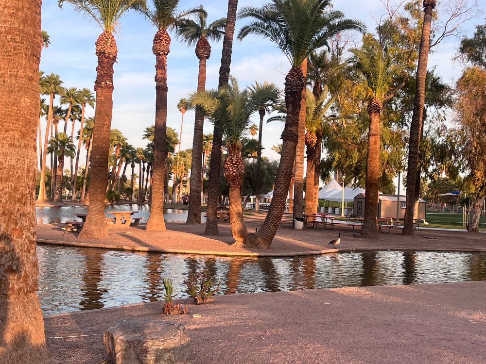 A lake from an old park I used to visit a lot as a kid that I’ve revisited today :)