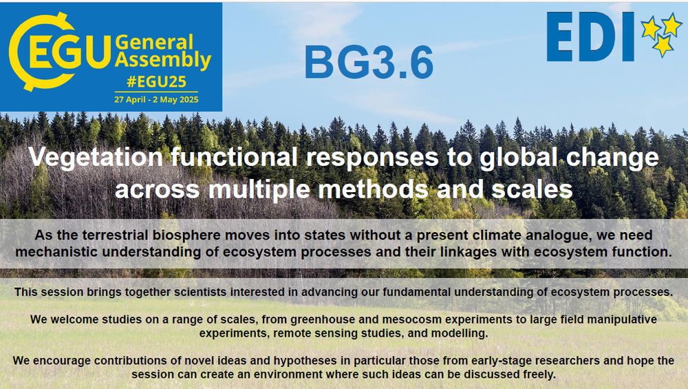 An advert for the EGU session 'Vegetational Functional Responses to Global Change Across Multiple Methods and Scales'.The background picture is a mixed coniferous forest and the EGU 2025 logo and EDI log are displayed prominently. 
The text reads: As the terrestrial biosphere moves into states without a present climate analogue, we need mechanistic understanding of ecosystem processes and their linkages with ecosystem function. This session brings togther scientists interested in advancing our fundamental understanding of ecosystem processes. We welcome studies on a range of scales, from greenhouse and mesocosm experiments to large field manipulative experiments, remote sensing studies, and modelling. We encourage contributions of novel ideas and hypotheses in particular those from early stage researchers and hope this session can create an environment where such ideas can be discussed freely. 