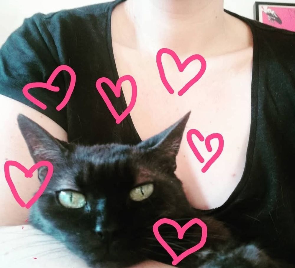 Mon chat dans mes bras avec des coeurs roses dessinés autour de sa tête 