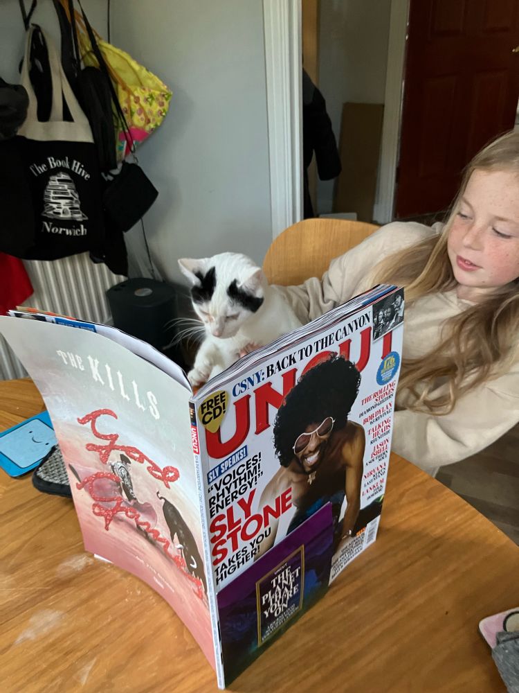 A cat reading Uncut magazine