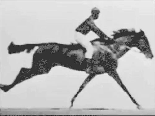 Animated version of Muybridge's The Horse in Motion