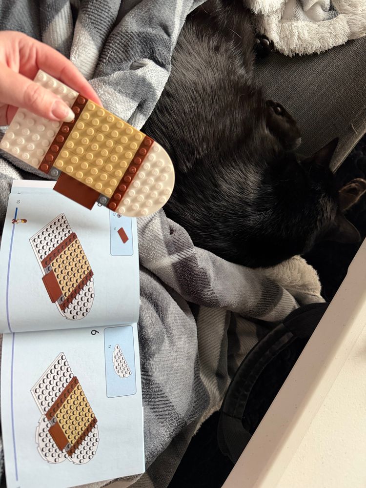 Hiei (black cat) snuggling at my knee while I work on LEGOs.