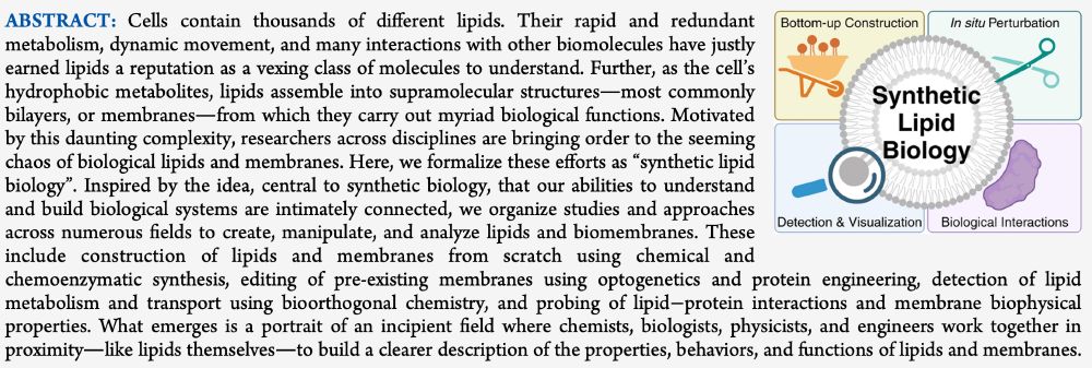 abstract of review article
