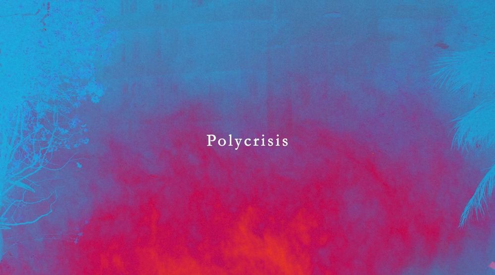 The word 'Polycrisis' written on a cerise and magenta background, with the outlines of trees at the right and left edges of the image