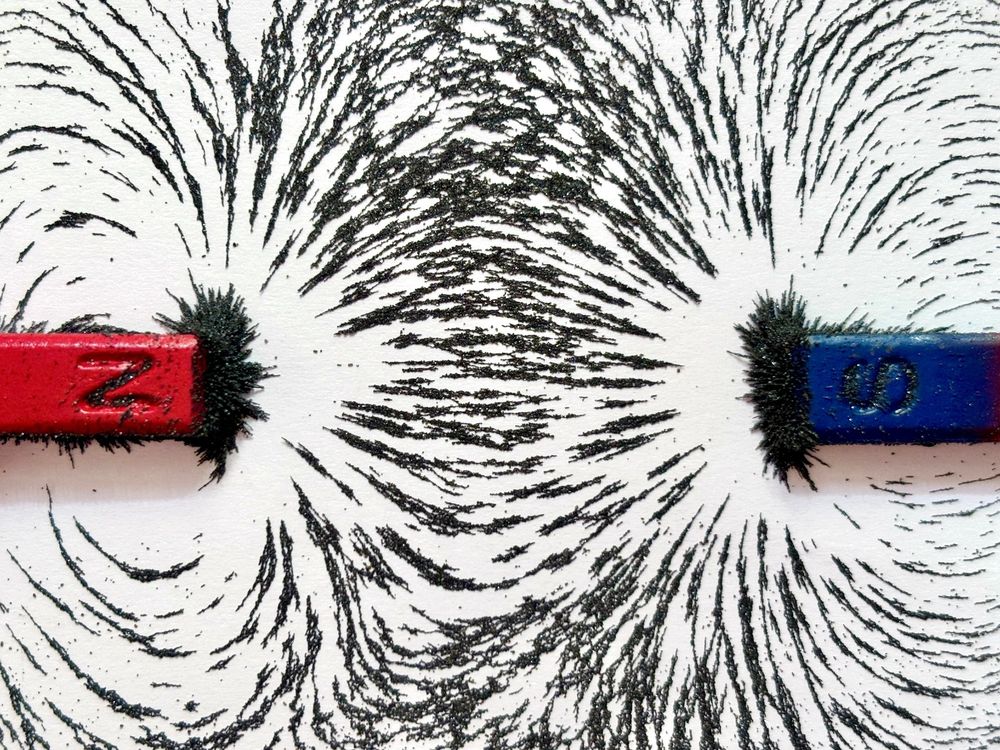 Two magnets with iron filings illustrating the magnetic field