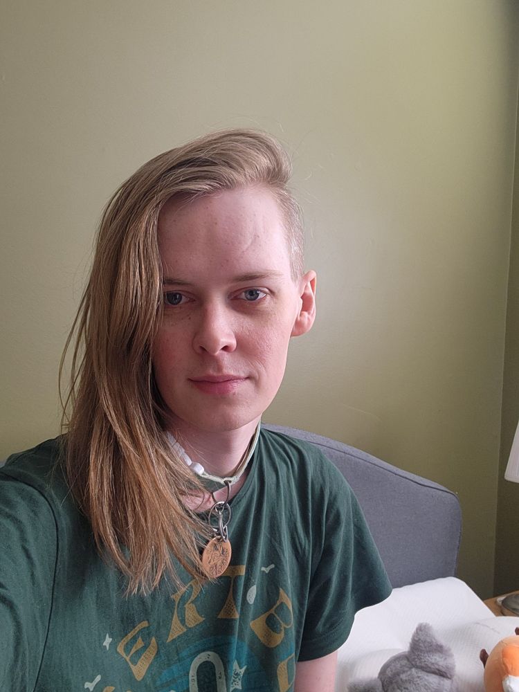 A selfie of me, a white trans woman with blue eyes and light brown, shoulder-length hair wearing a teal collar and dark green graphic T-shirt.