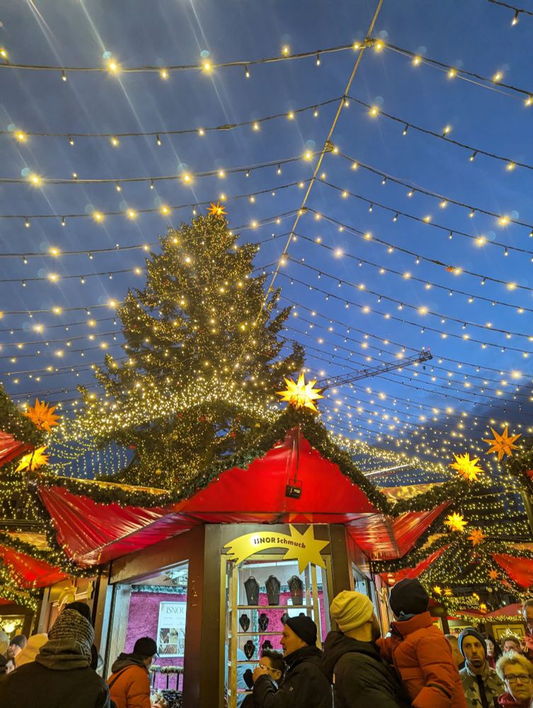 Festive lights in a beautiful clear night sky.