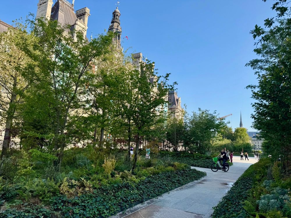 New forest in front of Paris city hall
