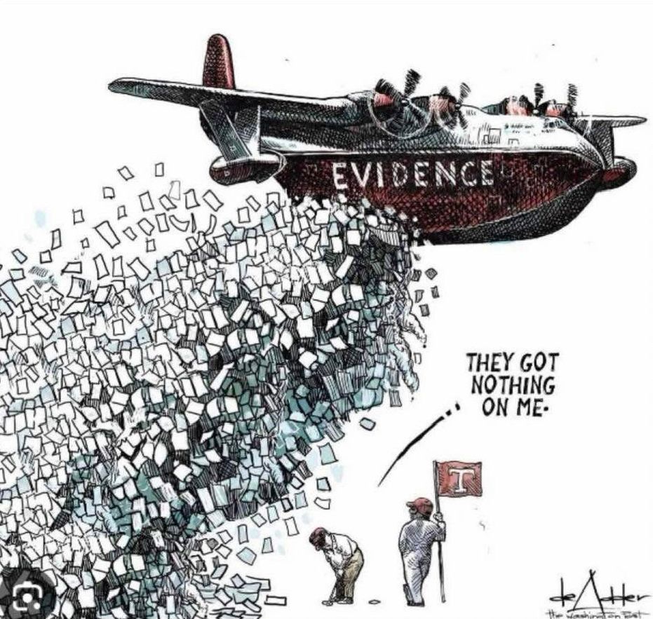 Cartoon with Trump golfing saying “they got nothing on me” while a plane behind his with “Evidence” on the side dumping massive loads of papers about to hit him