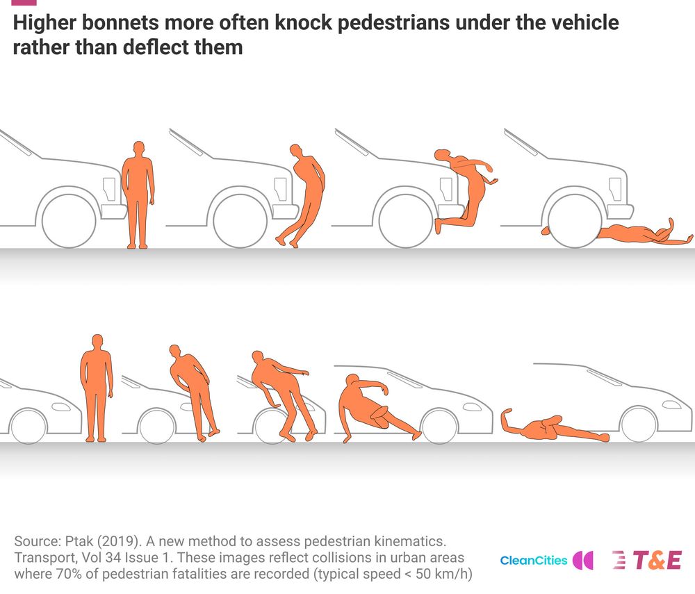 Diagram showing how higher vehicles impact vital organs and push people under the vehicle instead of deflecting them.