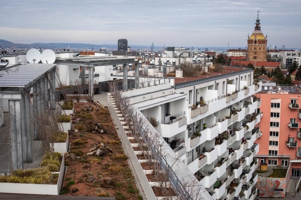 Vienna density