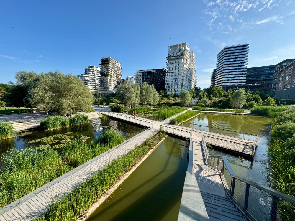 Beautiful central linear park