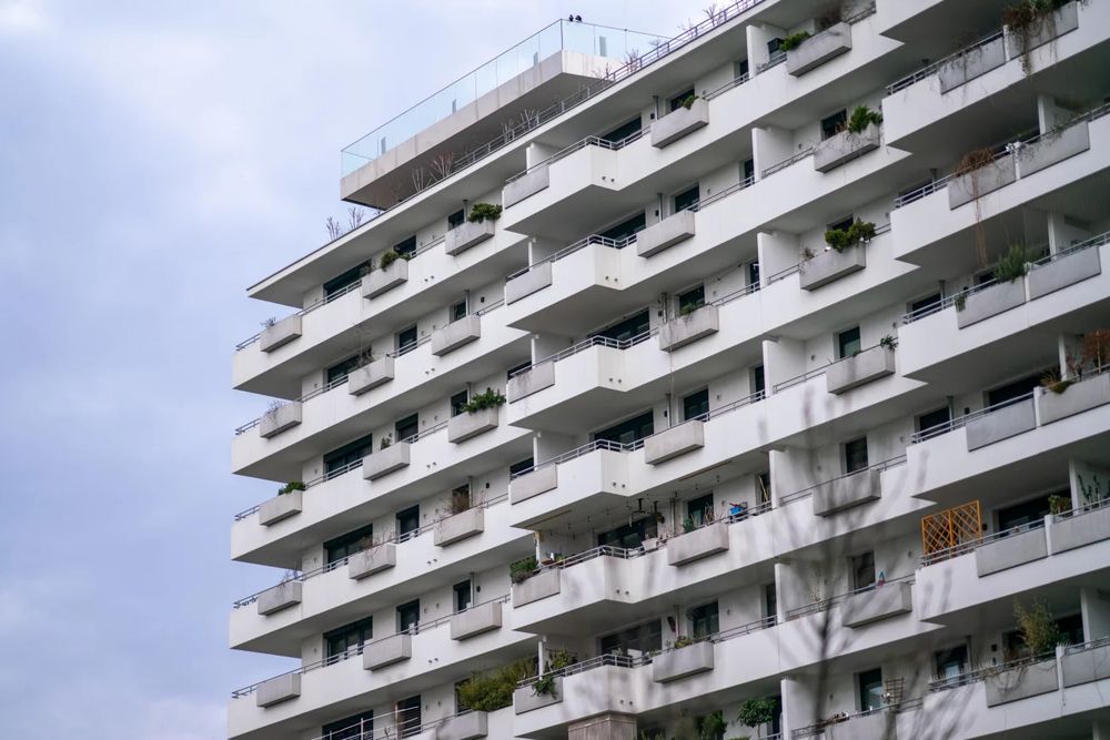 Vienna density