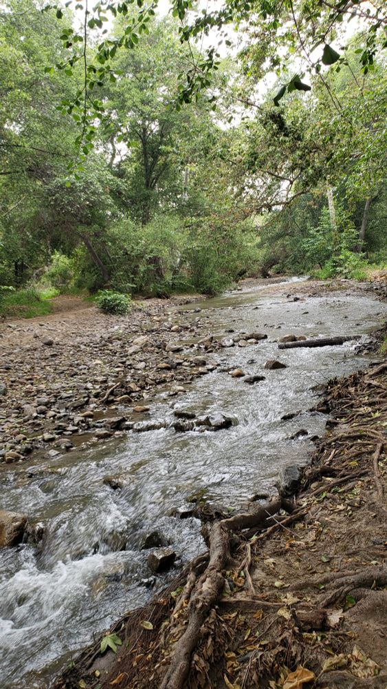 Photo of the running creek.