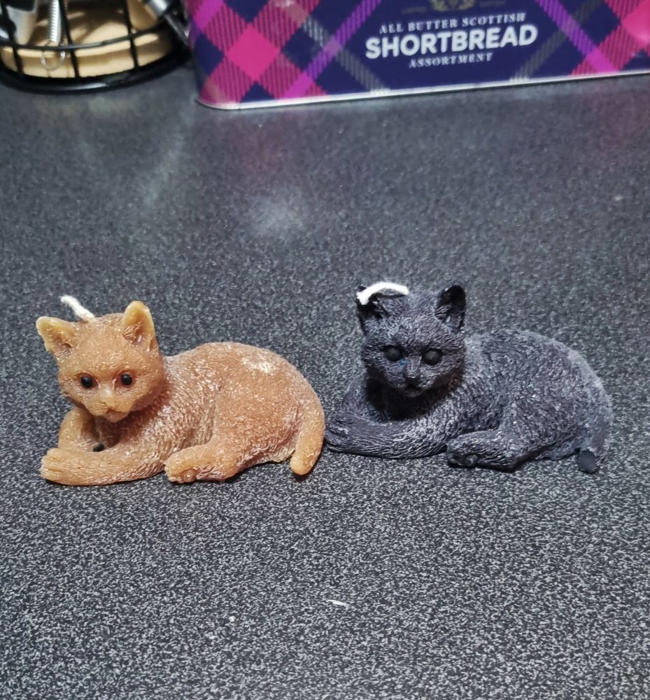 2 cat candles. 1 cat is orange 1 is dark grey. Both are sat/lying down 