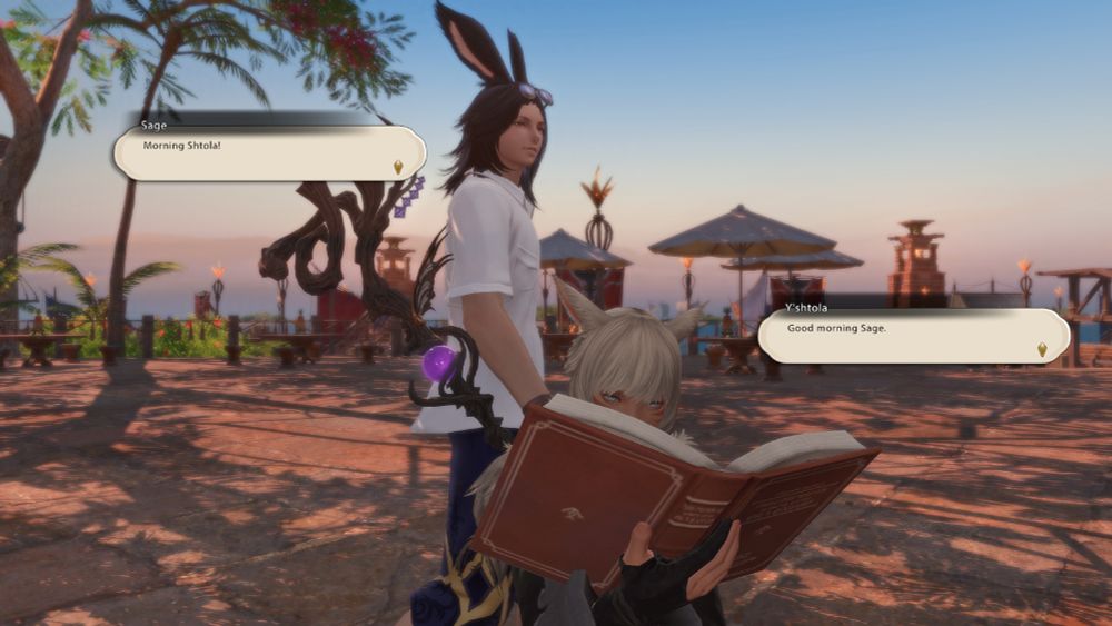 Sage in beach attire walks past Y'shtola who is reading. Sage: "Morning Shtola!" Y'shtola: "Good morning Sage."