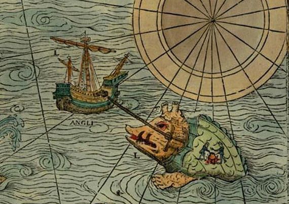 whale being attacked by ship