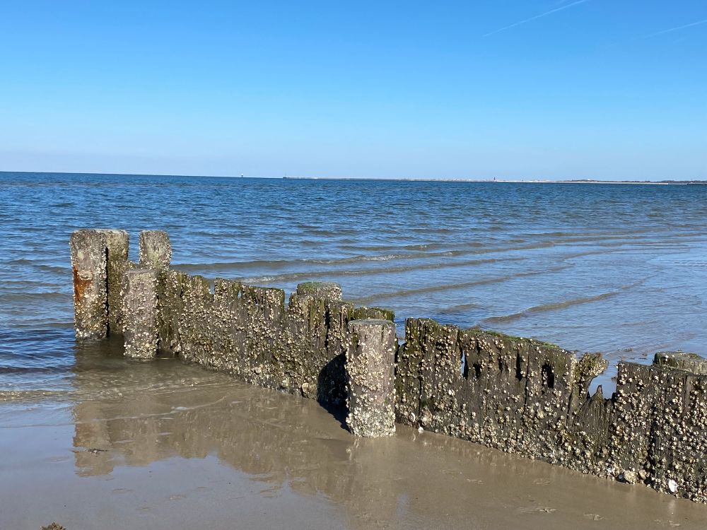 A jetty covered in barnacles & seaweed. It’s beautiful & crumbly