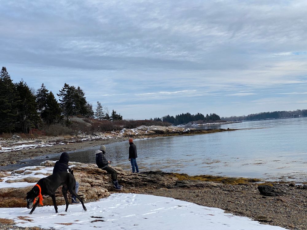 4 people & 2 dogs on a pebbly beach with some snow on it, mid-tide, going out. Maine 