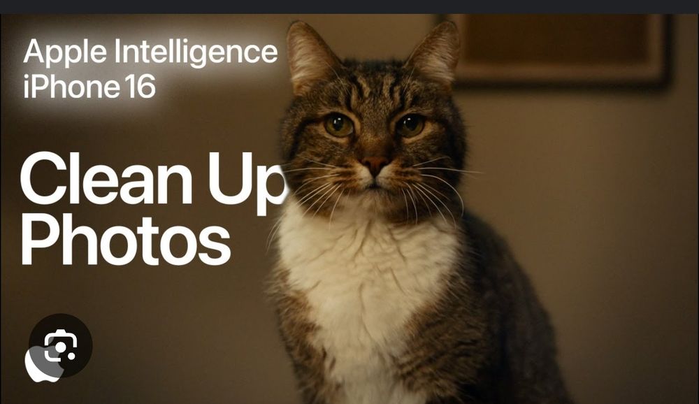 Katze Gerrit (graue Katze mit weißem Latz) von Apple Intelligence Werbespot. 