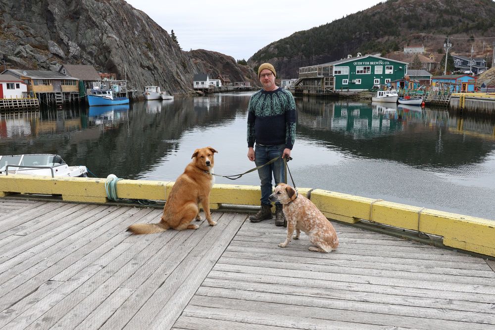 A bearded man wearing a navy blue pullover that has teal leafhoppers knitted in a fair-isle pattern on the yoke and sleeves. He is posing with two leashed dogs (one large and yellowish, one smaller and cream with reddish spots) in front of a harbour with fishing boats and colourful buildings in the background.  