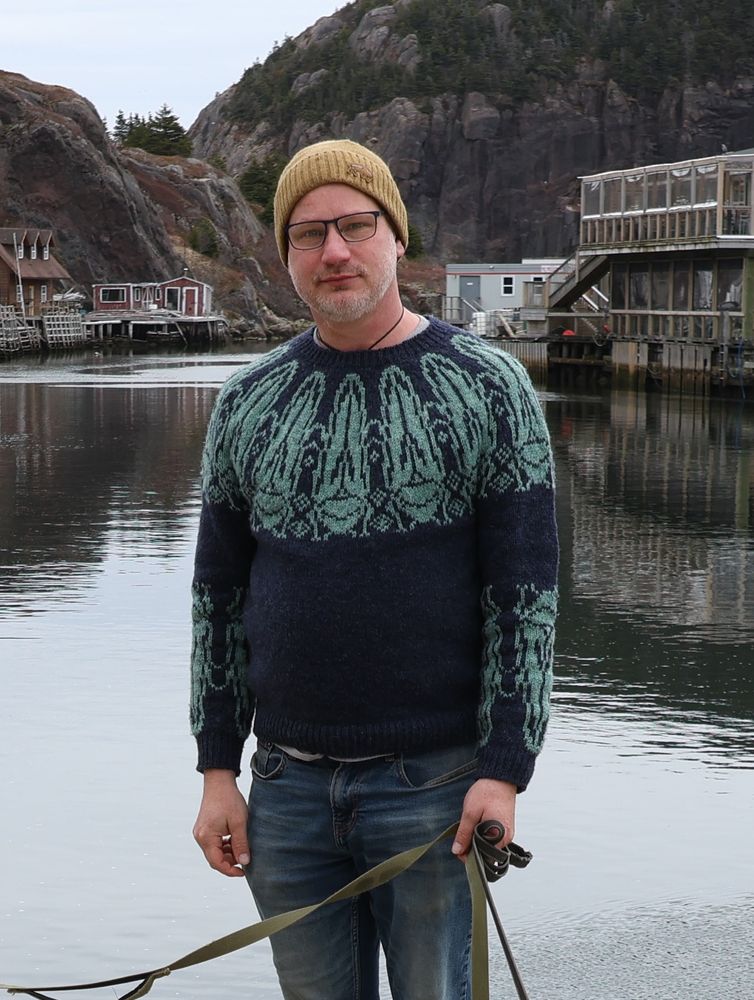 Close up of a bearded man wearing a navy blue pullover that has teal leafhoppers knitted in a fair-isle pattern on the yoke and sleeves.