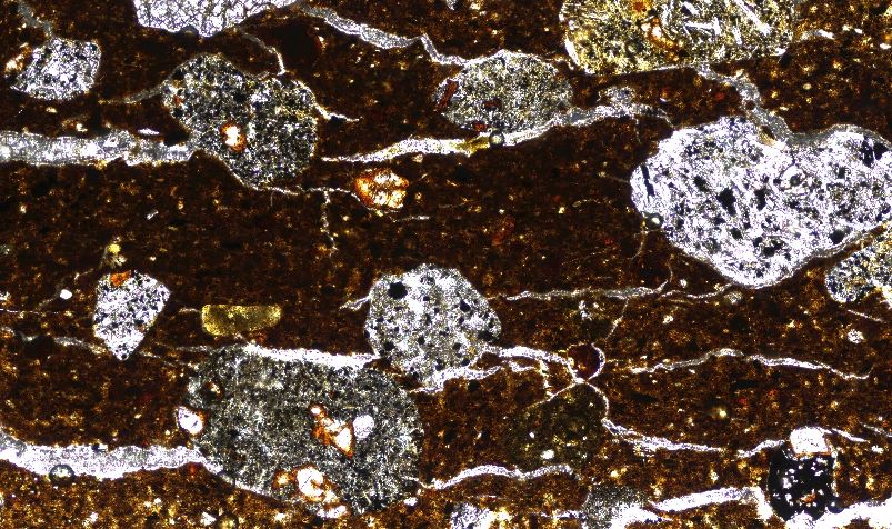 A plane polarised light image under 10x magnification with feldspars, pyroxene and degraded olivine crystals in lithic fragments.