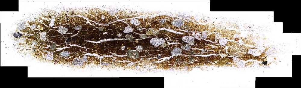 A plane polarised light image under low magnification with white-grey-green sub-rounded inclusions.