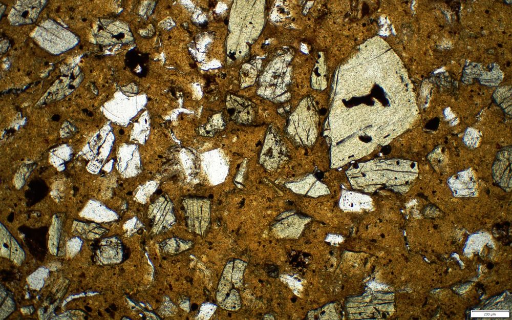 Pyroxenes in PPL light, they appear very pale yellow-green, with angular shapes and cleavage lines.