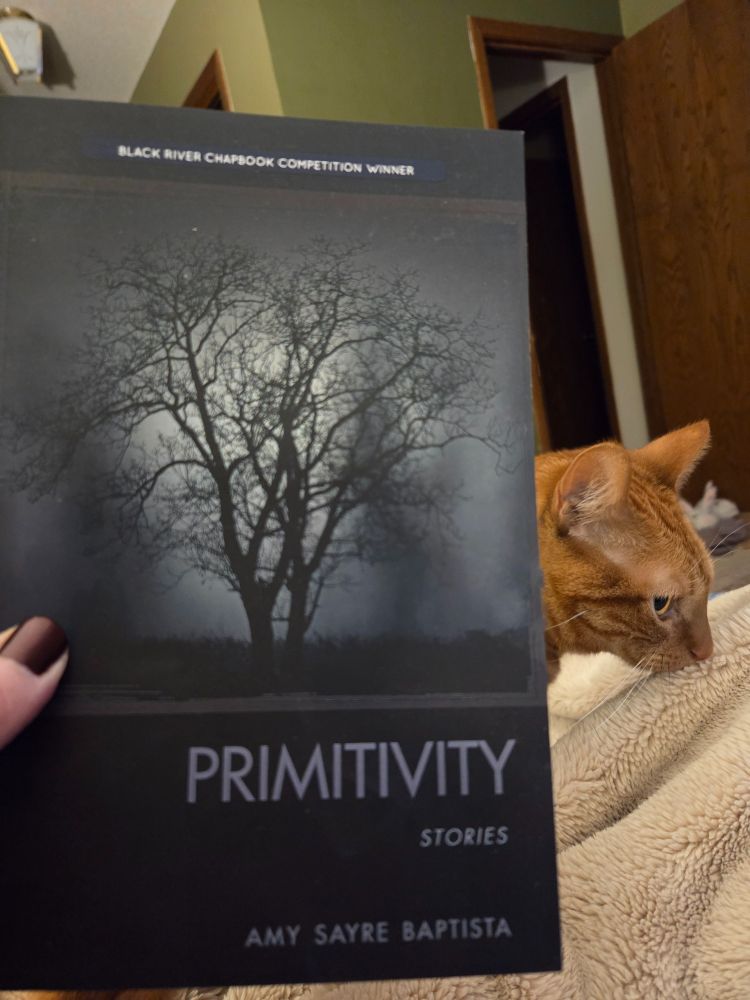 Primitivity by Amy Sayre Baptista