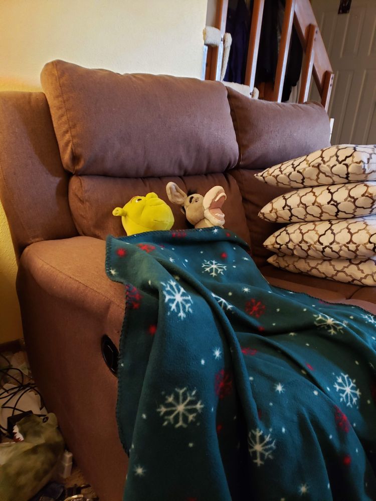Stuffies Shrek, bright green, left, and Donkey, gray, with mouth wide open. They're chilling on a brown loveseat under a dark green blanket with large snowflakes. A stack of off white pillows is to their right.