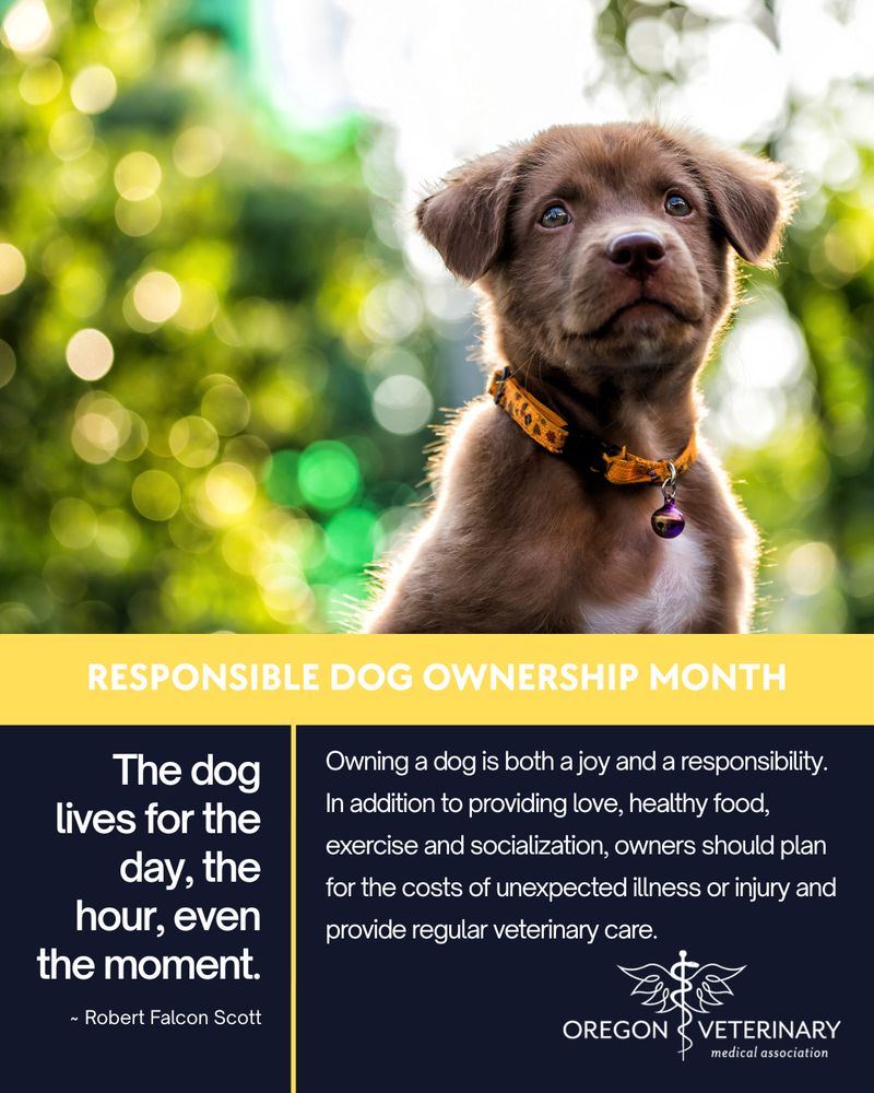 An adorable brown puppy with an orange collar sits in front of blurry trees. It's Responsible Dog Ownership Month. Owning a dog is an everyday joy and responsibility. In addition to providing love, healthy food, exercise and socialization, owners should plan for the costs of unexpected illness or injury and provide regular veterinary care.

"The dog lives for the day, the hour, even the moment." ~ Robert Falcon Scott