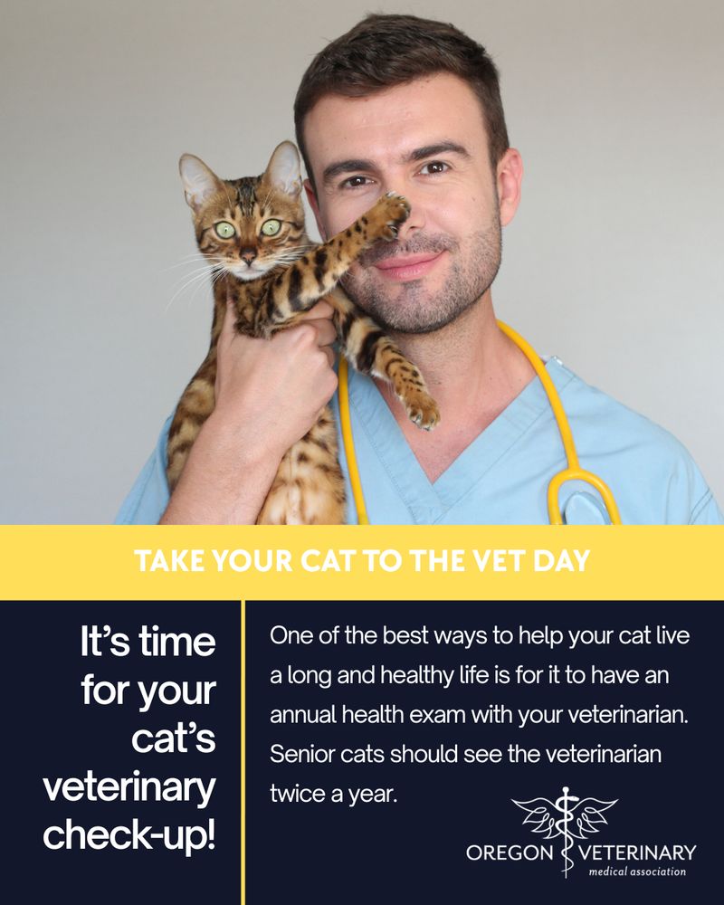A veterinarian holds a tiger striped cat with green eyes. The cat's paw is on the veterinarian's nose. National Take Your Cat to the Vet Day is a good reminder that one of the best ways to help your cat live a long and healthy life is for it to have an annual health exam with your veterinarian. Senior cats should see the veterinarian twice a year. 