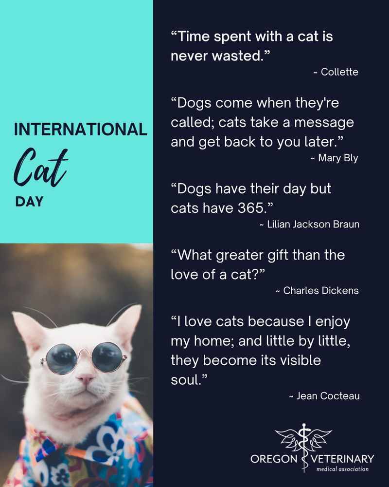 A white cat is wearing a colorful shirt and round blue sunglasses.

It's International Cat Day, where we're reminded it's a cat's world and we're just living in it!

“Time spent with a cat is never wasted.”
                                                     ~ Collette
 
“Dogs come when they're called; cats take a message and get back to you later.” 
                                                    ~ Mary Bly

“Dogs have their day but cats have 365.” 
                                 ~ Lilian Jackson Braun

“What greater gift than the love of a cat?” 
                                       ~ Charles Dickens

“I love cats because I enjoy my home; and little by little, they become its visible soul.”
                                            ~ Jean Cocteau