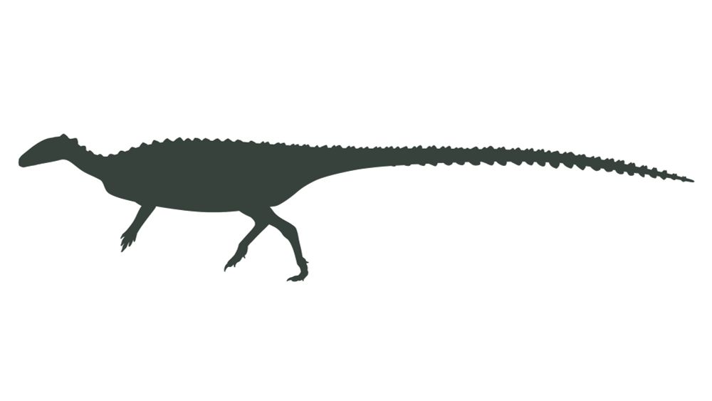 Scutellosaurus lawleri
