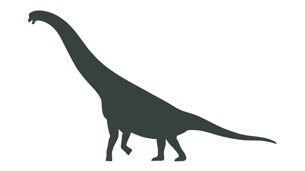 Brachiosaurus altithorax
